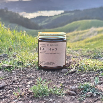 Bolinas